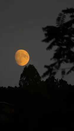 اللهم اشغلنا بك 