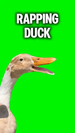 Busta Ducks