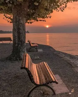 varmıydıkki