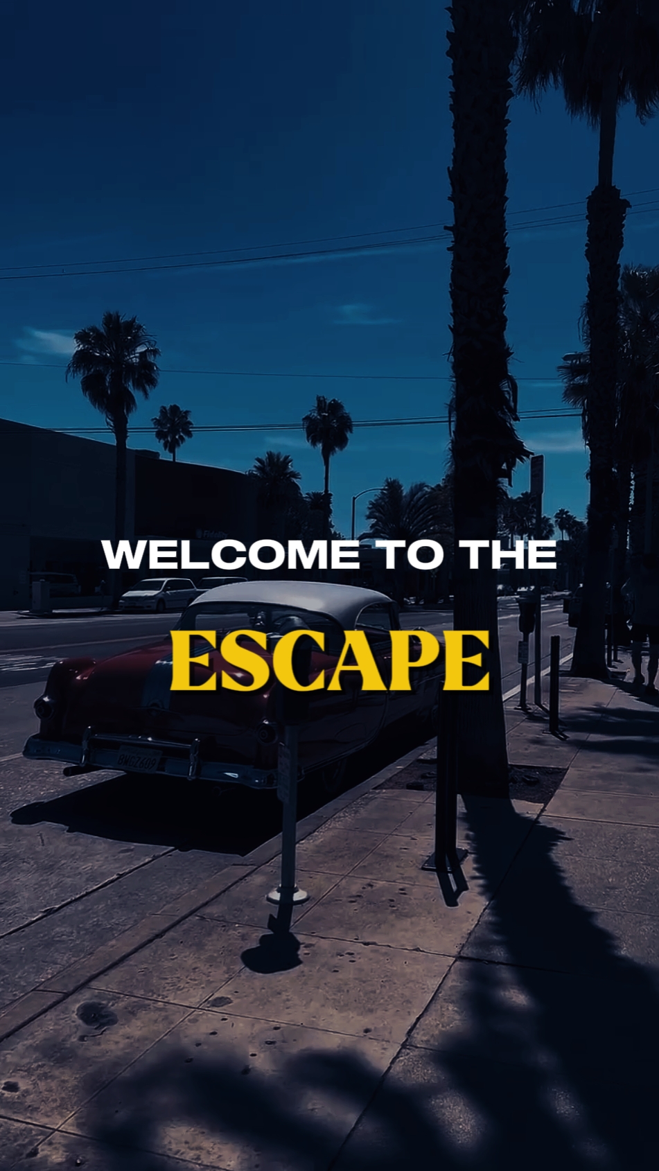Proyecto de Apertura