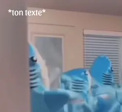 Même>>>shark