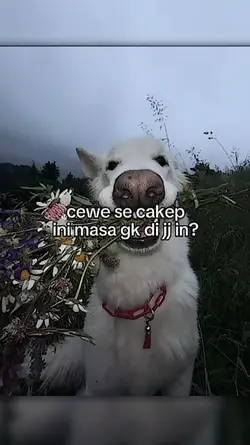 Versi No Miror