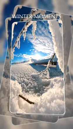 Winter Diaries