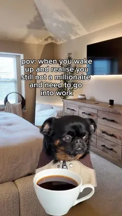 pov meme