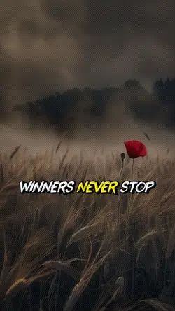 Winners never stop