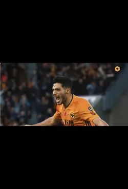 Raul Jimenez edit