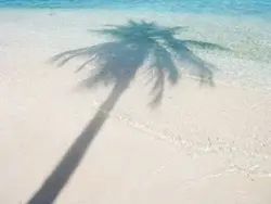 𝗈𝖼𝖾𝖺ິ𝗇𝗎𝗌   ֹ   𓇻