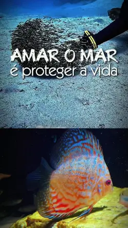 Amar é proteger
