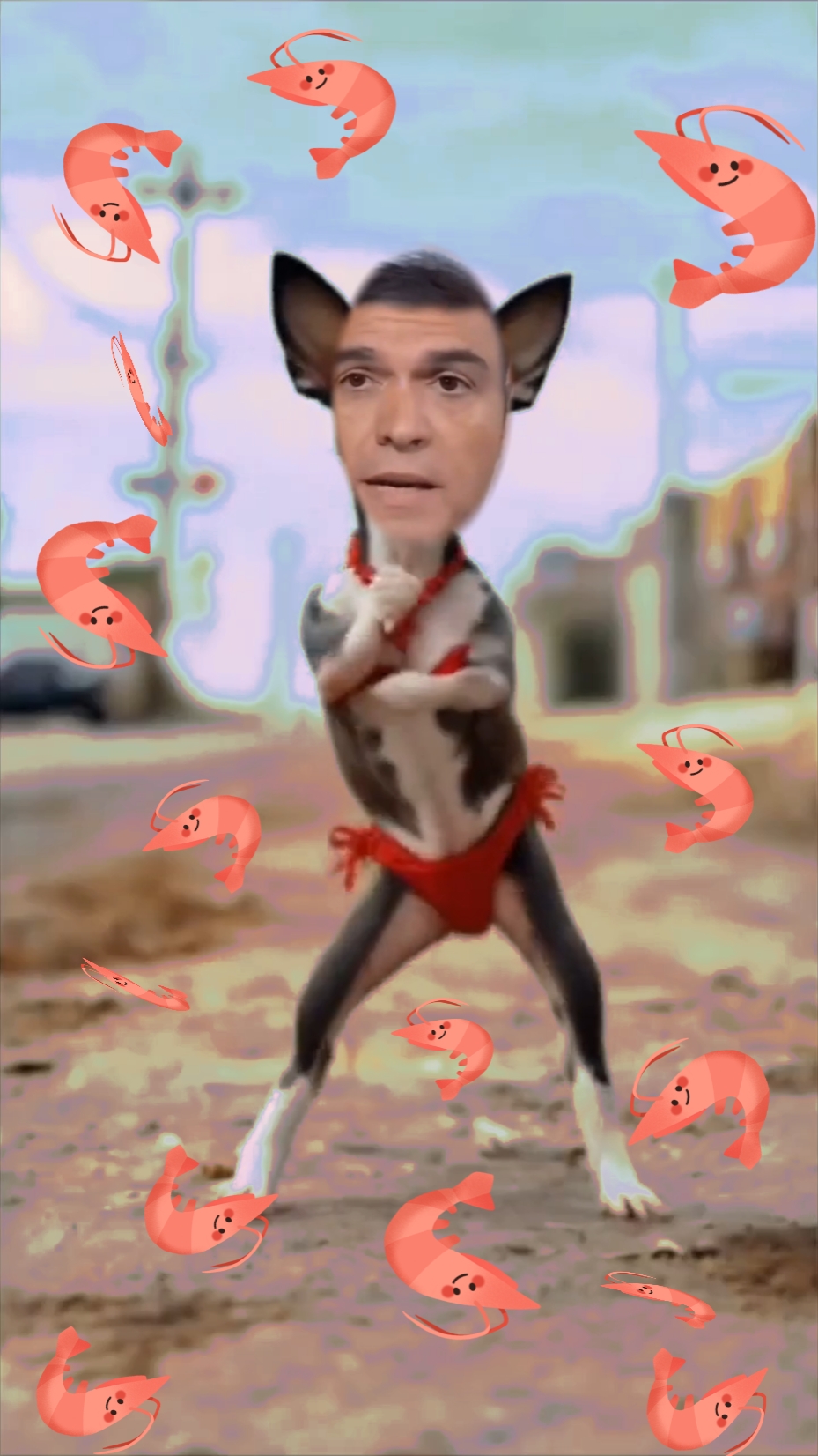 Baile la gambita