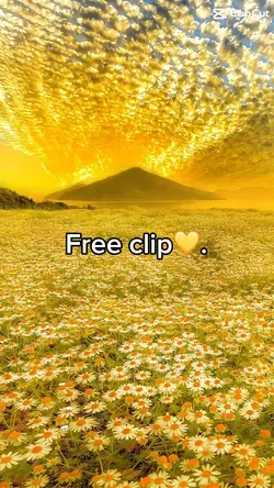 Free clip