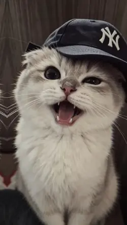 Mẫu hmoob xịn