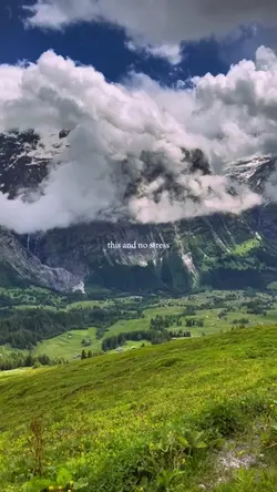 No stress just chill