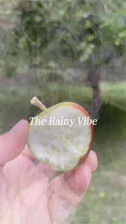 Rainy Vibe