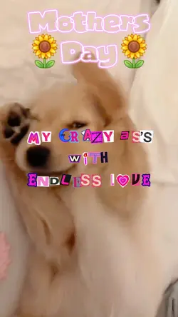 Mothers Day Edit