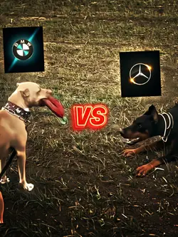 BMW vs Mercedes Edit