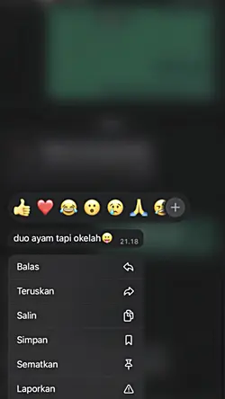 duo ayam tapi okelah