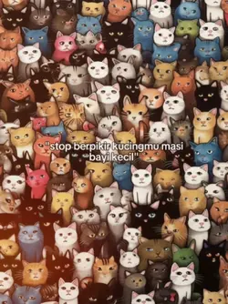 stop berpikir kucing