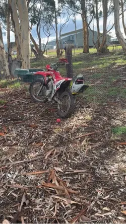 Crf125f