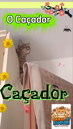 Caçador 