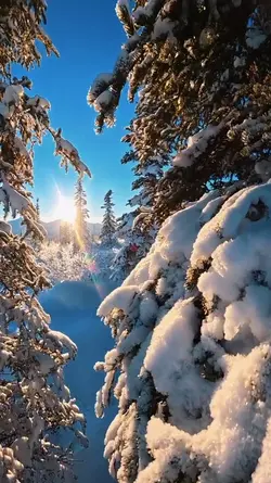 winter vlog