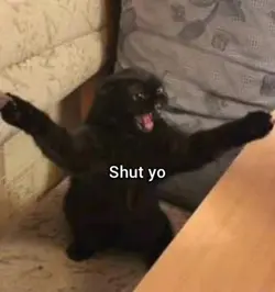 SHUT YO
