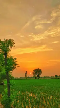 Tình cờ gặp nhau