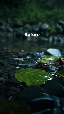 Before and After
