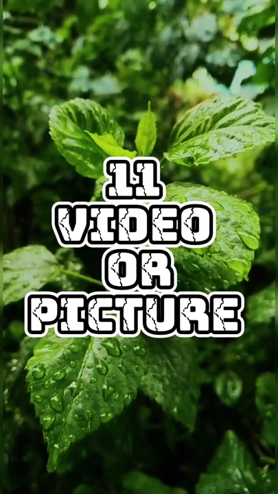 Cover Picture