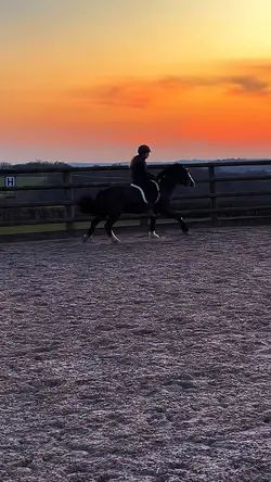 ordinary 😍sunset ate