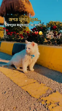 জগৎ সুন্দর হলেও জগতের মানুষ