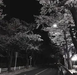 وتەیەك جێـبـهێــڵە