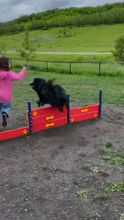 That jump😻
