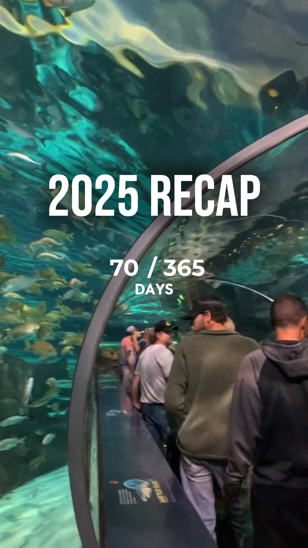 2025 özeti 365 gün