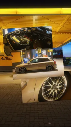 Shiny SpeedRamp 🔥