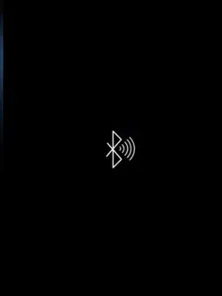 BLUETOOTH DEVICE