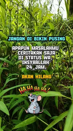 jangan pusing