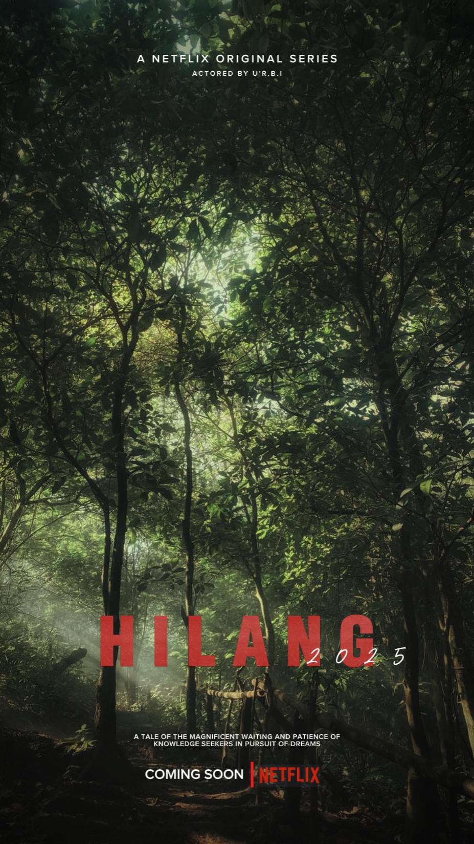 NETFLIX POSTER