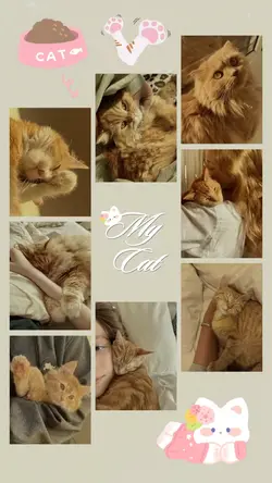 Birthday my cat 🐱