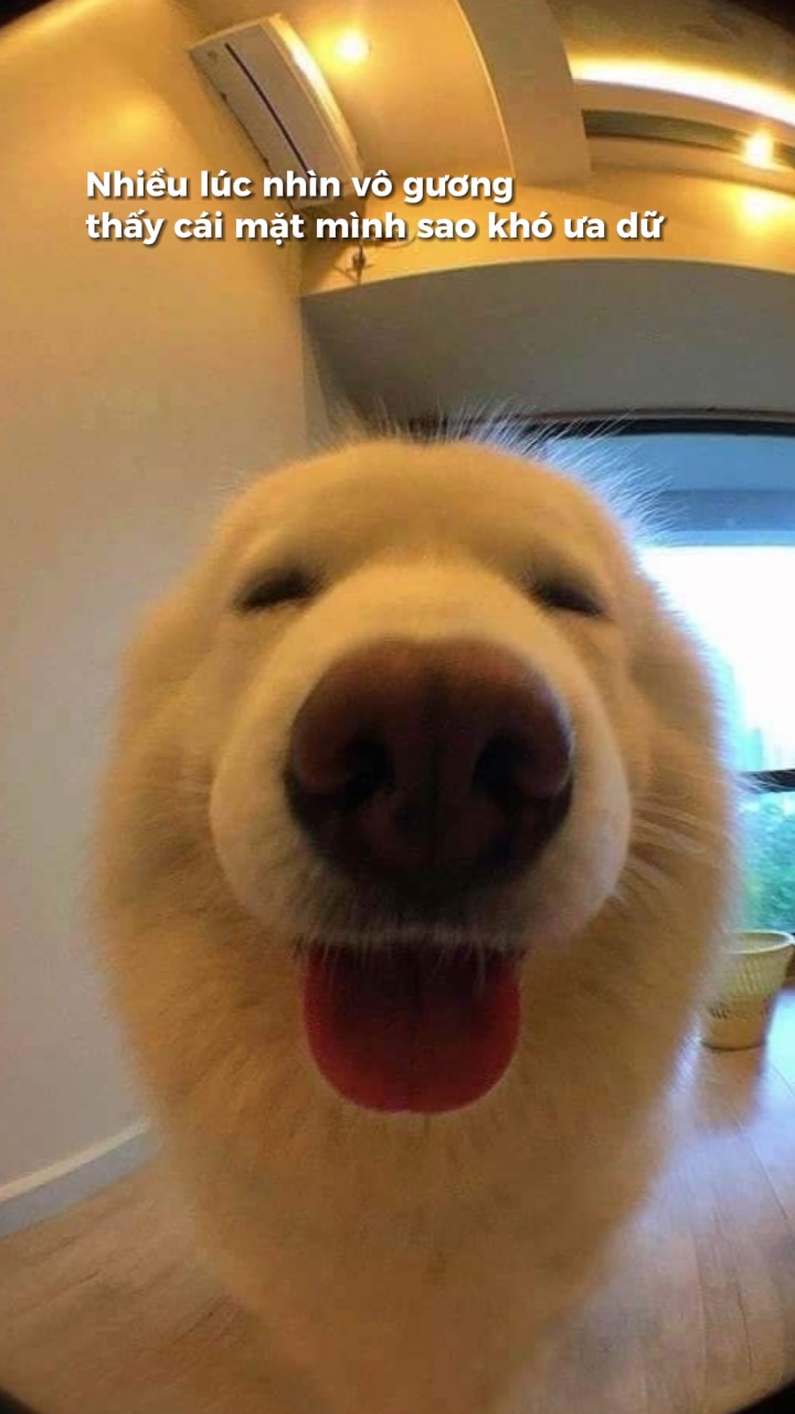 Nhiều lúc nhìn mặt