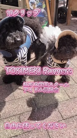 TOKIMEKI Runners