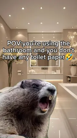 heyyyyyyyyyyyyy