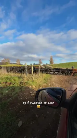 FG é fazenda de gado