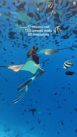 17 missed call