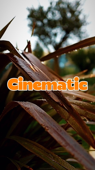 10 video cinematic