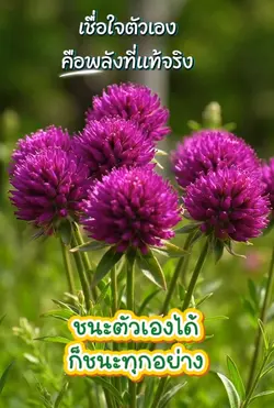 เชื่อใจตัวเอง