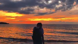 filter senja 