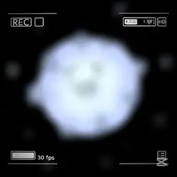 가나디를 입에 넣어서 와랄라