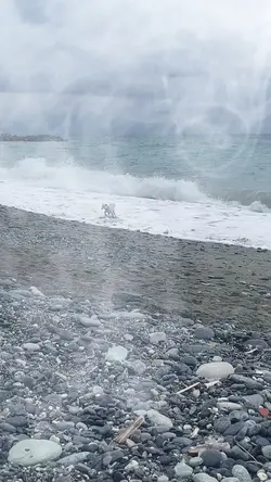 Temporale al