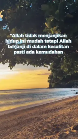 story' 