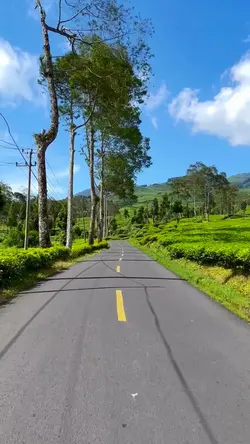 4 video filter cerah